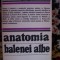 Anatomia balenei albe-Marcel Pop Cornis