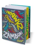 Zamburi Acordeon | Zamburi