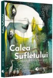 Calea sufletului - Paperback brosat - Ana Maria Ducuță - Evrika