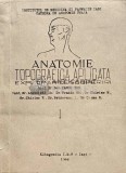 Cumpara ieftin Anatomie topografica aplicata, explorari-descoperiri - 1968 - Iancu Ion (A195)