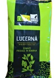 Lucerna ILEANA 10 kg, Samanta drajata, Produs Romania