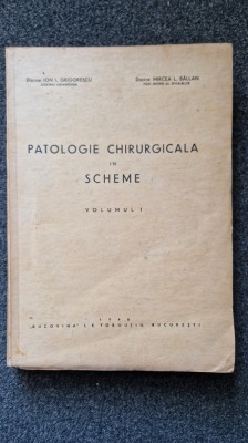 PATOLOGIE CHIRURGICALA IN SCHEME - Grigorescu, Balan (Volumul I) foto