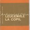 Leucemiile La Copil - Valeriu Popescu, Dimitrie Dragomir