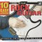 &quot;10 EASY LESSONS - Learn to Play... ROCK GUITAR&quot; + CD. 10 lectii simple pentru a invata sa canti la ... chitara rock.