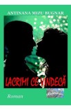 Lacrimi ce vindeca - Antinana Mizu Bugnar