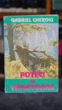 Cumpara ieftin Poteci de vanatoare - Gabriel Cheroiu