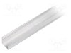 Profi Modul LED Natural 1m SMART10 Aluminiu - TOPMET