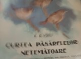 CURTEA PASARERELOR NETEMATOARE