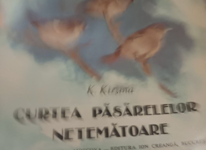 CURTEA PASARERELOR NETEMATOARE