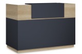 Cumpara ieftin Receptie Lotus pakoworld in stejar - culoare Gri inchis 180x70x110cm