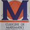 CULEGERE DE MATEMATICI PENTRU ADMITEREA IN LICEU-SILVIU STOSSEL-227645