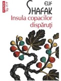 Insula copacilor disparuti (Top 10+)/Elif Shafak