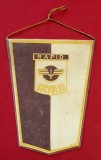Fanion meci fotbal (anii`80) - RAPID BUCURESTI