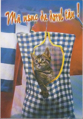 bnk cp Felicitare - Ma usuc de dorul tau ! - pisica foto