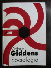 Sociologie-Anthony Giddens foto