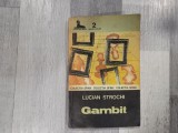 Gambit de Lucian Strochi
