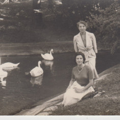 M5 E8 - FOTO - Fotografie foarte veche - doamne si lebede pe lac - anii 1940