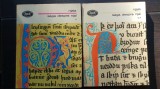 Njala. Saga despre Njal (2 vol.)