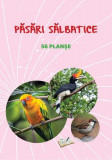 Mapă - Păsări sălbatice - Hardcover - Ars Libri
