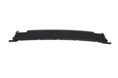 Ornament panou ușă st&acirc;nga spate TESLA MODEL X 2019 OEM: 1105132-00-E | 25218832