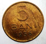 7.306 ROMANIA RPR 5 BANI 1956