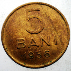 7.306 ROMANIA RPR 5 BANI 1956