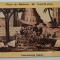 TURNUL DIN BABILON , CROMOLITOGRAFIE , FORMAT CARTE POSTALA , CCA. 1900