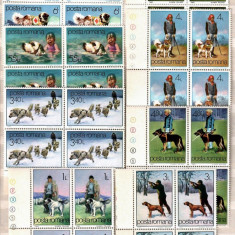 Romania 1982 - CAINELE PRIETEN AL OMULUI, serie in BLOC de 4 MNH, PT24