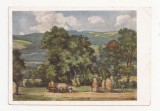 AT7 -Carte Postala-AUSTRIA- Karl Weber Art Publisher, Muhlau, Tirol, Necirculata