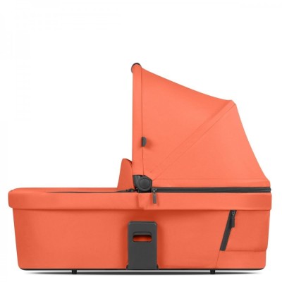 Landou Carrot Abc Design foto