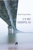 Un mic arhipelag - Paperback brosat - Radu Sergiu Ruba - Tracus Arte
