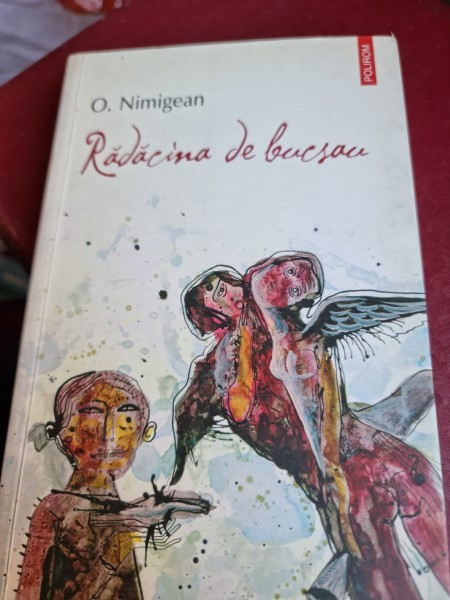 Radacina de bucsau - O. Nimigean