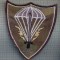 AX 1212 EMBLEMA AVIATIE-PARASUTISTI-ESCADRILA495 ?-BAZA495 ?-PENTRU COLECTIONARI