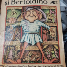 Bertoldo si Bertoldino. Poveste populara italiana, 1984 ilustratii Silviu BAIAS