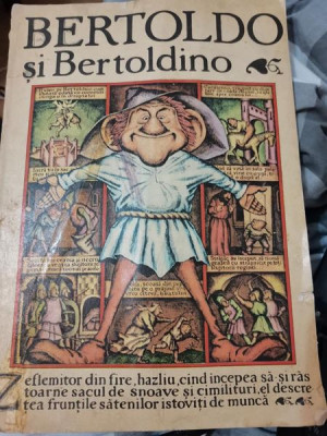 Bertoldo si Bertoldino. Poveste populara italiana, 1984 ilustratii Silviu BAIAS foto