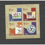 RUSIA 2016 FOTBAL CUPA MONDIALA