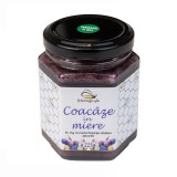 Coacaze in miere by Dr. Ing. Cornelia Dostetan Abalaru apicultor - 225g