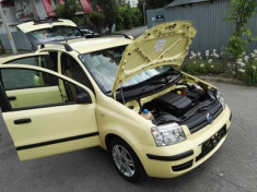 Fiat Panda, Austria foto