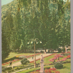 CPIB 15258 - CARTE POSTALA - SLANIC MOLDOVA. VEDERE DIN PARC, RPR