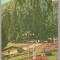 CPIB 15258 - CARTE POSTALA - SLANIC MOLDOVA. VEDERE DIN PARC, RPR