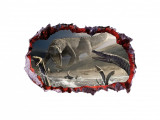 Cumpara ieftin Sticker decorativ cu Dinozauri, 85 cm, 4216ST-1