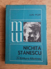 Ion Pop - Nichita Stanescu