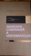 Anatomia comparata a vertebratelor vol I G.T.Dornescu O.C.Necrasov 1968 foto