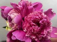 Buchet de facut cadou