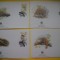 HOPCT PLIC FDC S NR 251 SET 4 FDC FAUNA-PANGOLIN MACAO-CHINA