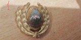 QW14 - Emblema militara / cuc - uscat - comunism - piesa de colectie
