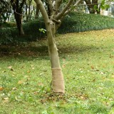 VidaXL Rulou de iută, 0,25x50 m, iută 100%, 200 g/m&sup2;