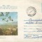 Romania, Lupeni, Vedere generala, plic circulat 1, 1979
