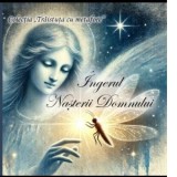 Ingerul Nasterii Domnului (format mic) - Maria Tudor