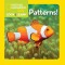 National Geographic Little Kids Look and Learn: Patterns!